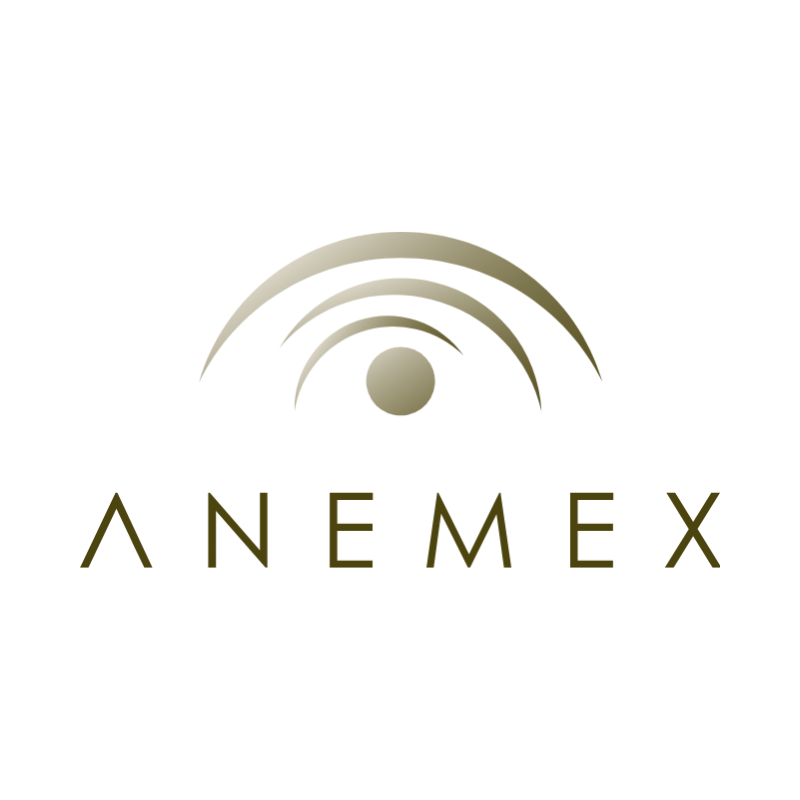 https://support-api.isibai.com/dist/img/allies/payment-service/anemex.png